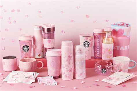 Starbucks Sakura Series St Tumbler And Starbucks With Cherry