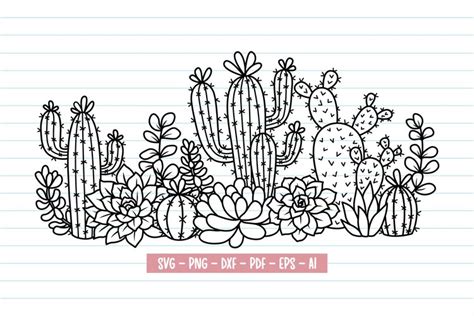 Cactus Svg Cactus Border Svg Succulent Plant Svg