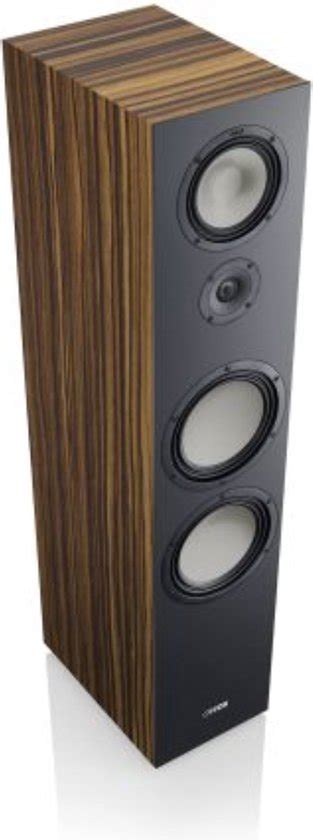 Canton Gle 100 Vloerstaande Luidsprekers Passieve Speakers Hifi Makassar Set Bol