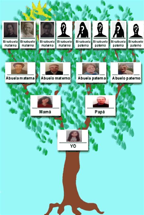 Arbol Genealogico Familiar Grande