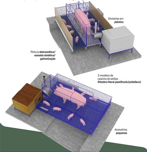 Box Cela Maternidade Suíno Porco Piso NTC Completa 2 40X1 60mts