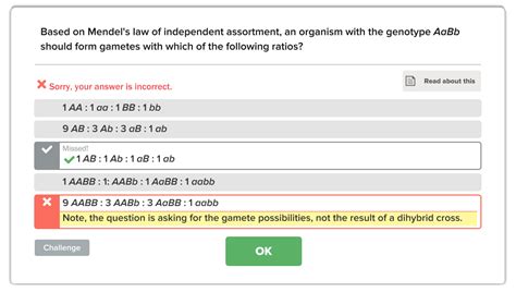 Solved Based On Mendel S Law Of Independent Assortment An