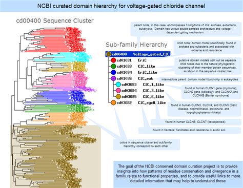 NCBI Conserved Domain Database CDD Help