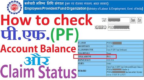 How To Check Your Pf Account Balance And Claim Status Pf Account P