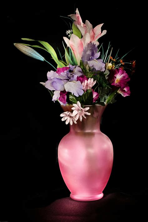 Pink Vase · Free Stock Photo