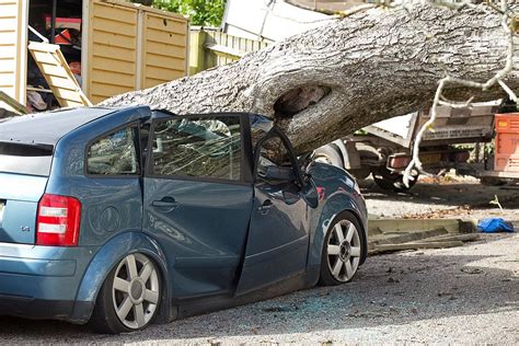 Huge Tree Falls On Top Of Two Parked Cars In Penzance Cornwall Live