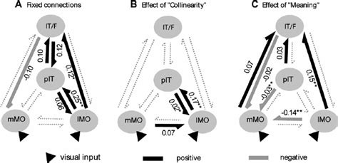 Dcm Results Schematic Representations Of The Group Results Obtained