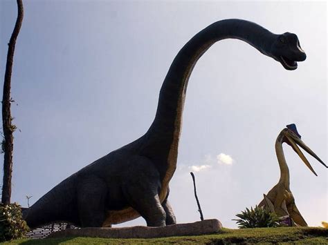 Parques De Dinosaurios En México ¡lánzate A La Aventura Jurásica