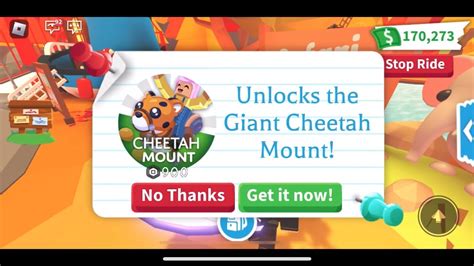 Adopt Me Unlocking The New Giant Cheetah Mount YouTube