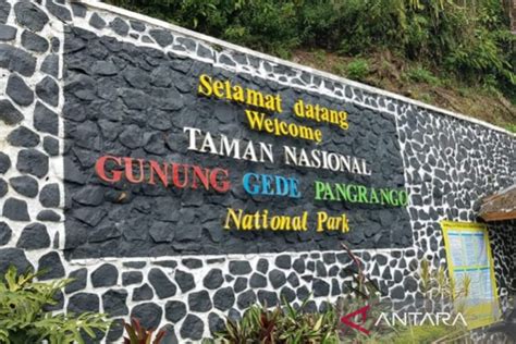 Cuaca Buruk Aktivitas Pendakian Ke Gunung Gede Pangrango Ditutup