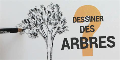 Dessiner Un Arbre Sans Feuille Gamboahinestrosa