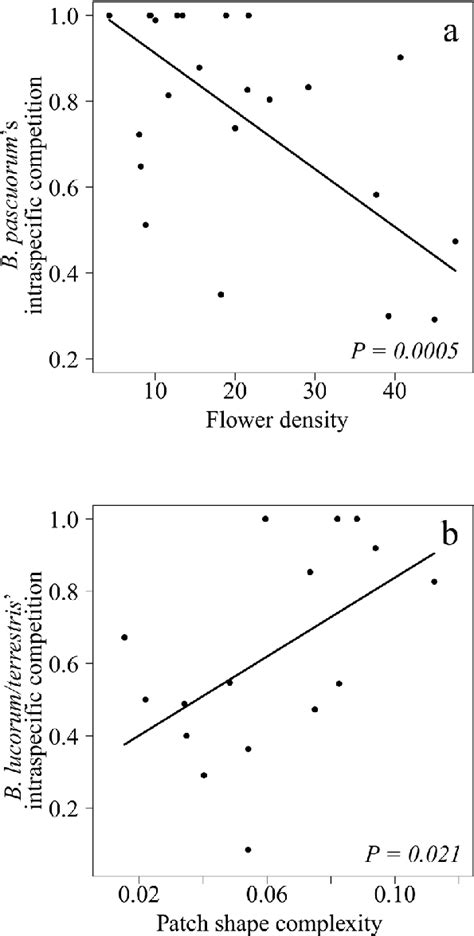 Intraspecific Competition Graph