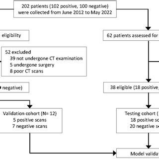 Flow Chart Showing The Overall Study Process All Computed Tomography