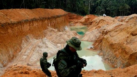 Venezuela Empieza Plan De Reforestaci N En Zonas Afectadas Por Miner A