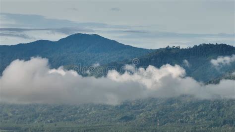 Mountains With Rainforest And Jungle Sumatra Indonesia Stock Footage