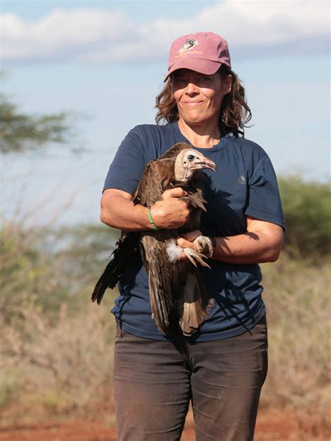 Dr Darcy Ogada Unveiling The Complex Web Of Vulture Poisoning In