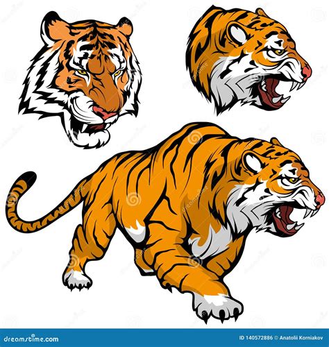 Sistema Del Tigre De Bengala Conveniente Como Logotipo Para La Mascota Del Equipo, Bosquejo Real ...