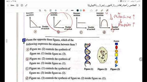 حل كل اسئلة كتاب المعاصر بيولوجى 2024 أولى ثانوى درس ال Cell Structure