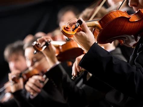 Newtons New Philharmonia Orchestra Opens 28th Season Newton Ma Patch
