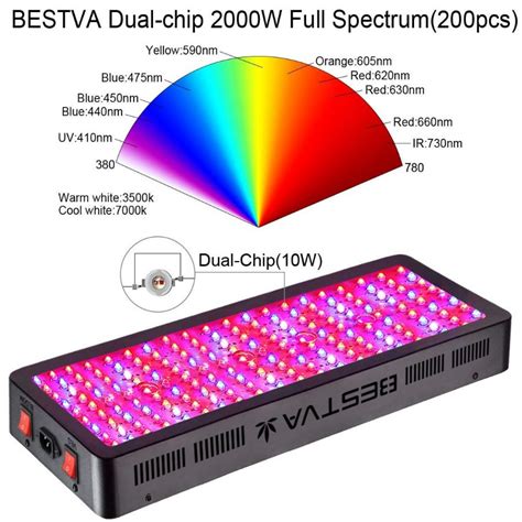 Best Watt Led Grow Light For Growing Cannabis In