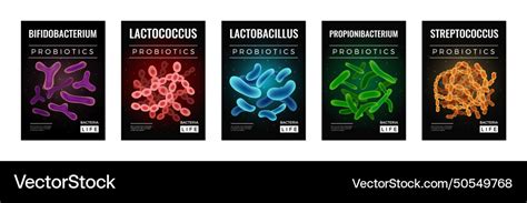 Probiotics And Health Vertical Banners Set Vector Image