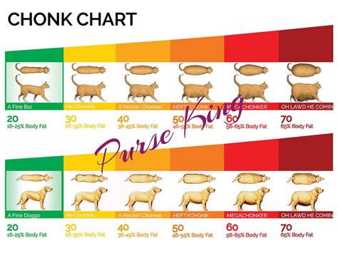 Chonk Chart Chonk Chart Print Fine Boi Good Doggo Cat Etsy Uk