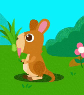 Kangaroo Eating Grass GIF - Kangaroo Eating Grass - Discover & Share GIFs