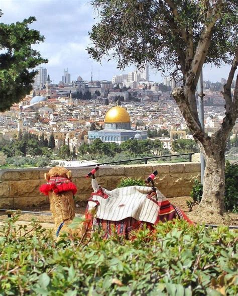 Al Quds | Scenic, Palestine, The beautiful country