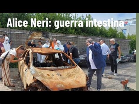 Alice Neri Guerra Intestina YouTube