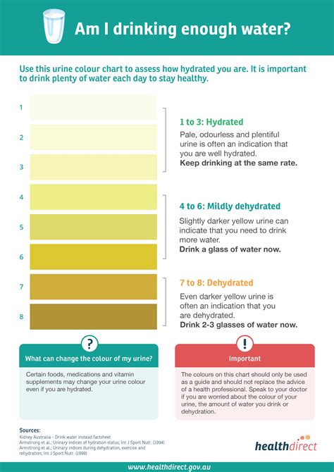Urine color chart whats normal and when to see a doctor