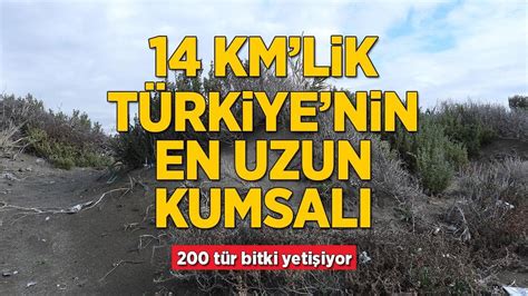 14 km lik Türkiye nin en uzun kumsalı 200 tür bitki yetişiyor Güncel