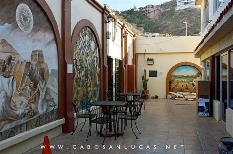 Los Mejores Tours Y Actividades Cabo San Lucas