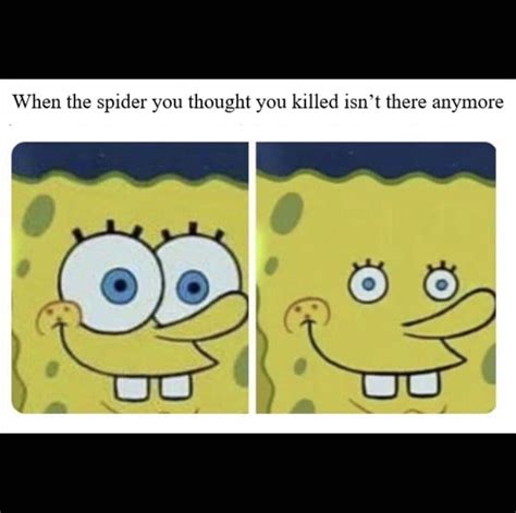 40 Funny Spongebob Memes Dank Spongebob Memes