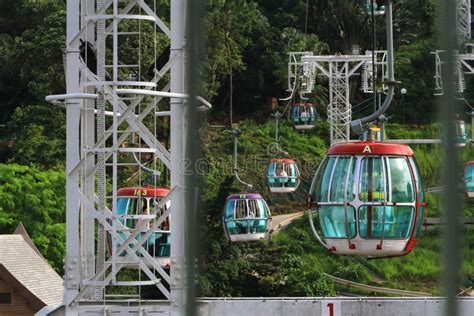 An Aerial Cable Car, Hong Kong Ocean Park Editorial Stock Photo - Image ...