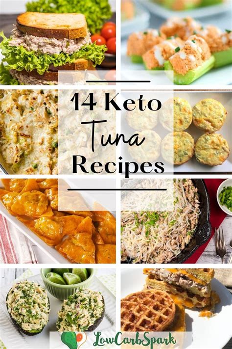 Are You Looking For Easy Keto Tuna Recipes That Are Easy To Prepare
