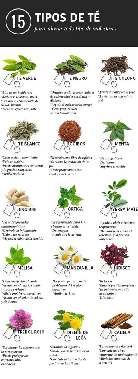 15 tés e infusiones para aliviar cualquier dolencia Tea health