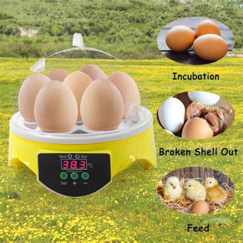 Mini Egg Incubator 7 Eggs With Automatic Temperature Control LED