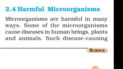 Ncert Science Class 8 Chapter 2 [harmful Microorganisms] Youtube