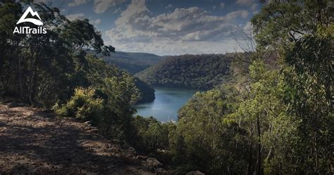 10 Best Bird Watching Trails In Ku Ring Gai Chase National Park Alltrails