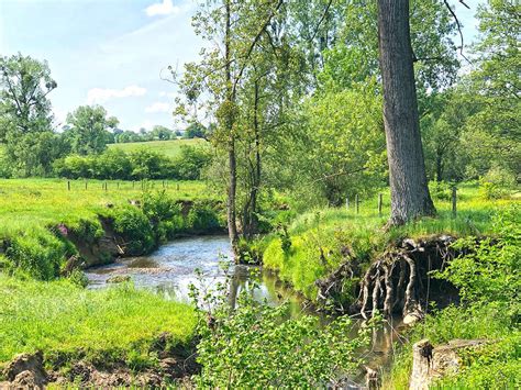 Wandelen Zuid Limburg Mooiste Wandelingen Vanuit Landal Hoog Vaals