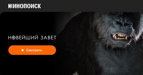 Новейший завет — Кинопоиск