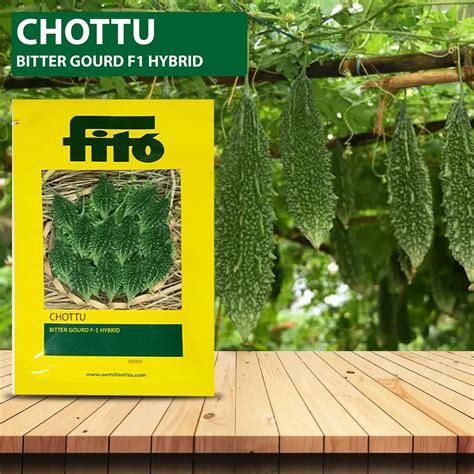 Fito Chottu F1 Hybrid Bitter Gourd Seeds 100 Seeds Pack Of 2 करेले के बीज बिटर ग्राउड सीड