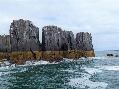 The Farne Islands And Holy Island Northumberland British Geological