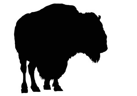 Buffalo Head Vector at GetDrawings | Free download