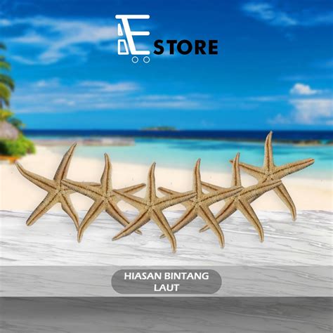 Jual HIASAN BINTANG LAUT AQUARIUM / BINTANG LAUT KERAJINAN TANGAN ...