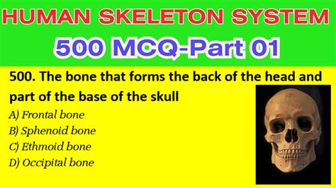 Human Skeletal System Mcqs Part Skeletal System Mcq