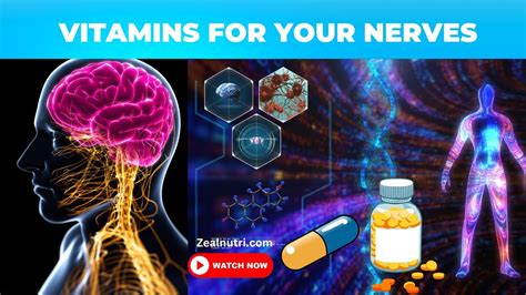 Top 9 Best Vitamins For Your Nerves Neuropathy Remedies Youtube