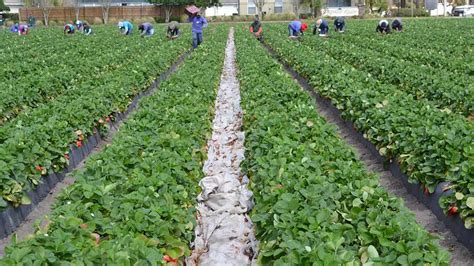 Don T Miss Out On This Ag Labor Relations Forum Growing Produce