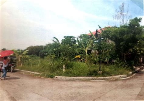 Residential Lot For Sale Angono Rizal Properties June On