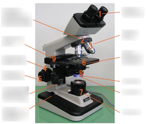 Parts Of A Microscope Openstax Diagram Quizlet